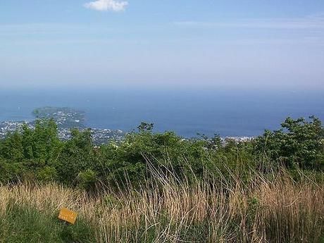 幕山から見える一面に海の広がる景色