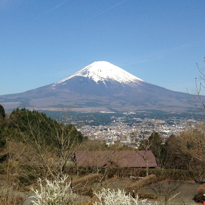 大きな富士山とその下に広がる街並み