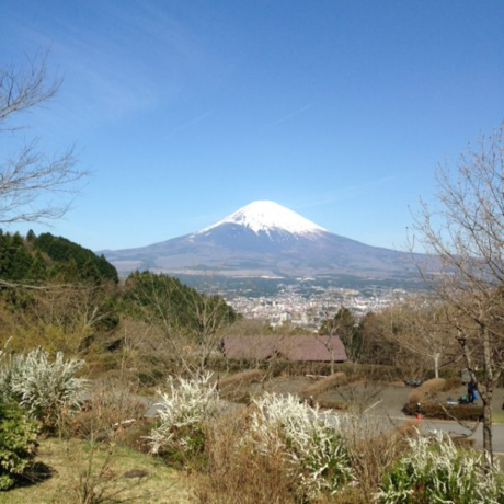 大きな富士山とその下に広がる街並み