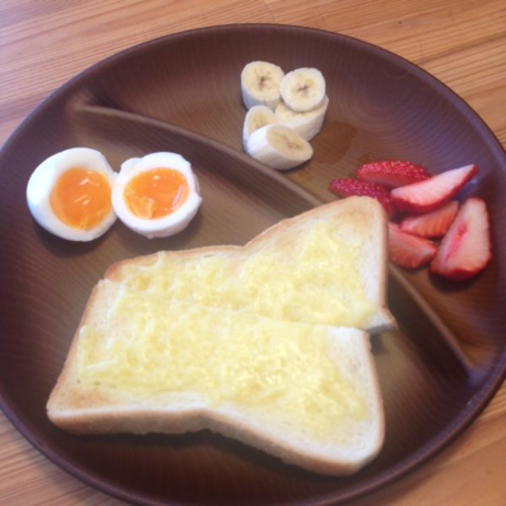 樹脂のプレート