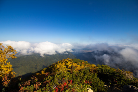 紅葉した山と青空