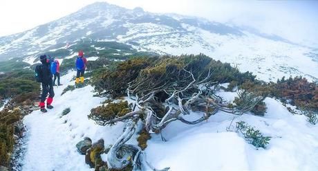 一面に広がる山肌と登山客