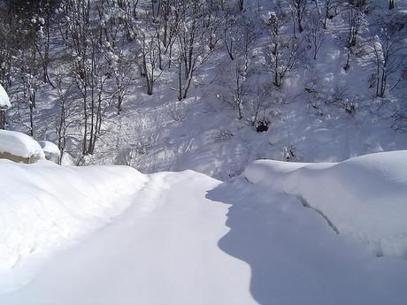 一面真っ白な雪山