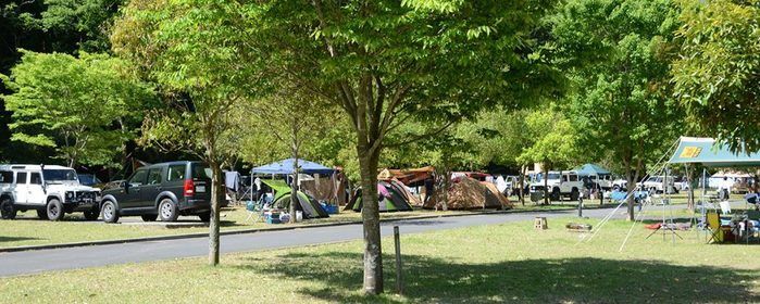 早川町オートキャンプ場のサイトの様子