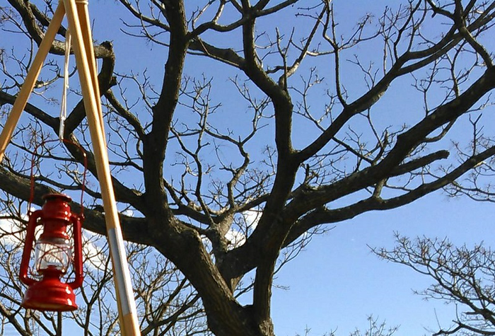 青空の下、気に吊り下げられたランタン