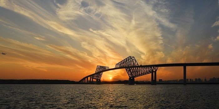 夕焼けと橋の写真