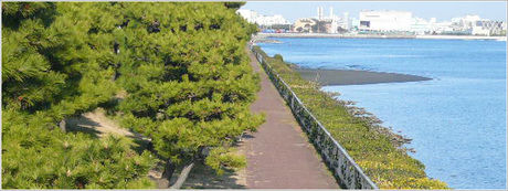京浜島つばさ公園バーベキューエリア