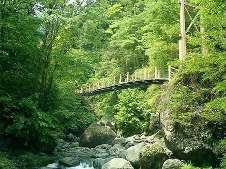 大柳川渓流公園 キャンプ場