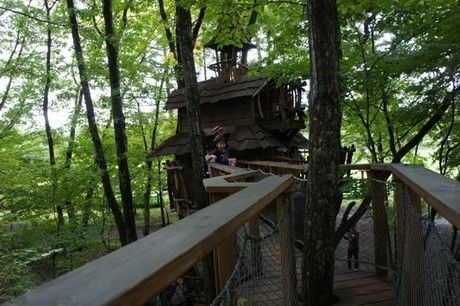 北軽井沢スウィートグラスのアスレチックで遊ぶ子供