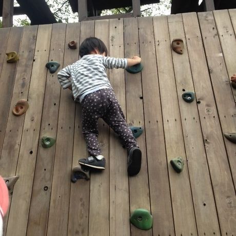 ボルダリングを楽しむ男の子の後ろ姿