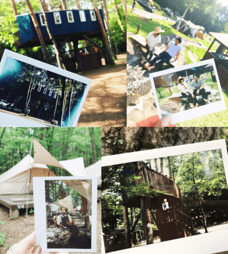 ツリーハウスやテントを写した作品のコラージュ