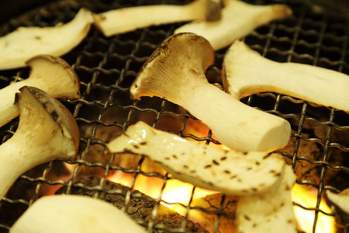 エリンギの網焼き