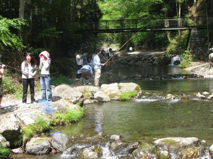 大丹波川国際虹ます釣り場