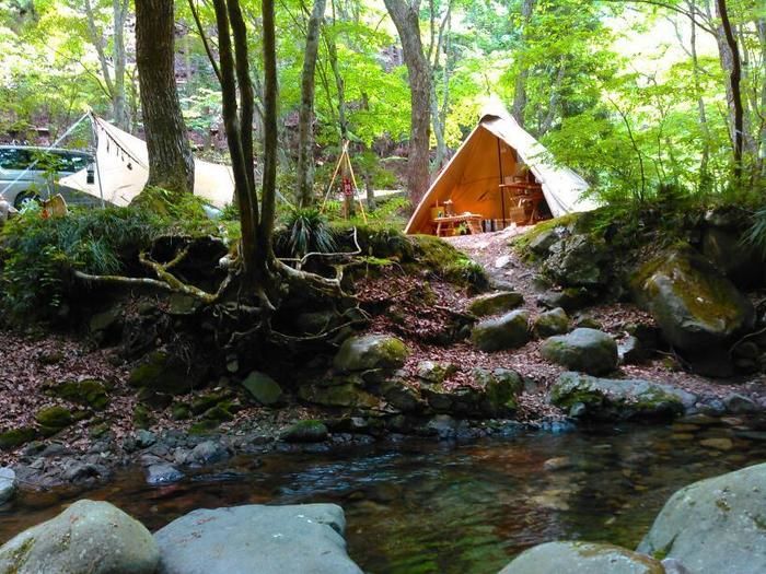 川辺でのキャンプの様子