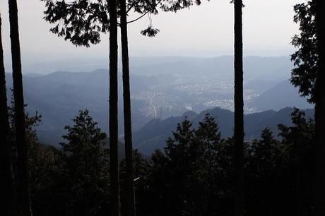 山頂付近から街を撮影した写真