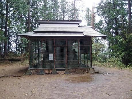 建物