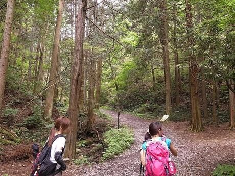 山道を歩いている2人の女性