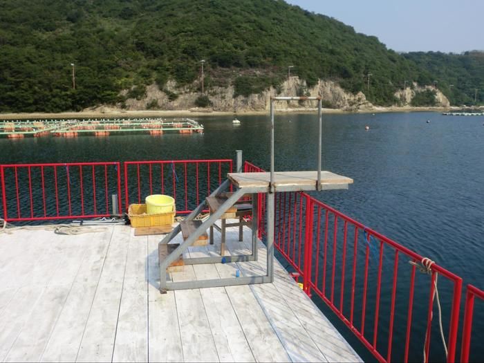 シーサイドキャンプ西島の様子