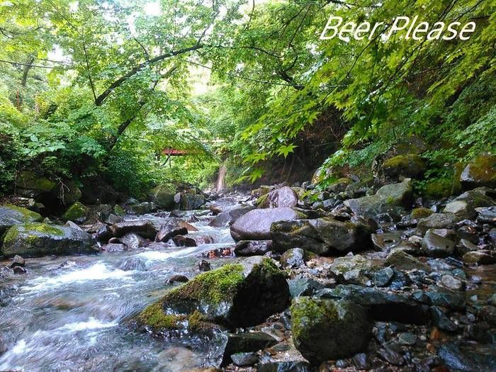 道志の森キャンプ場の川の様子