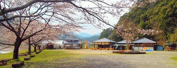 渡瀬緑の広場キャンプ場の様子
