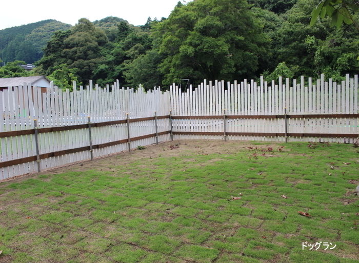 グリーンヴィレッジ川根の様子