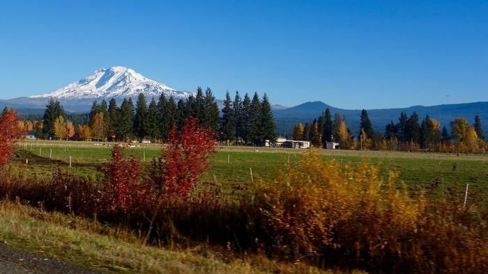 自然の中の富士山の風景