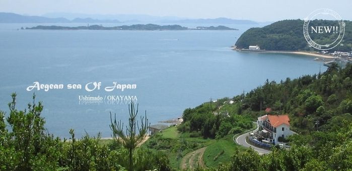 海が一望できるペンションくろしお丸の様子