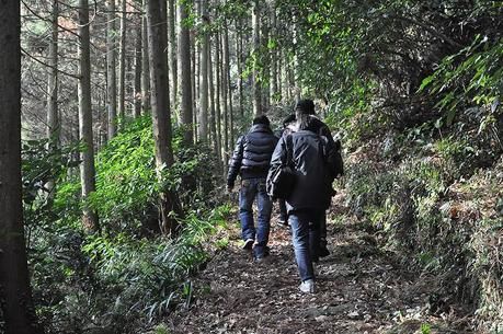木立の中のハイキングロードを歩く人々の後ろ姿