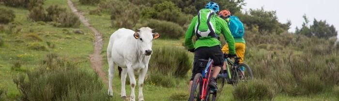 ドイターのリュックを背負って自転車をこぐ男性の後ろ姿
