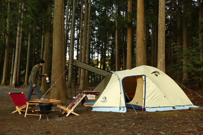 秋のキャンプ 林とテントの風景
