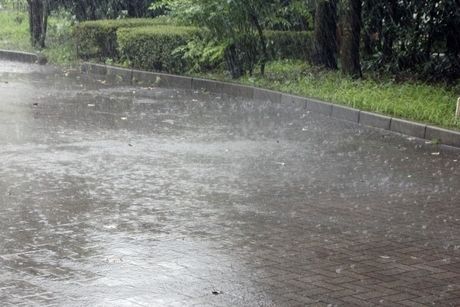 土砂降りの雨