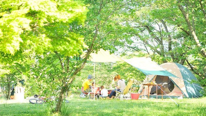 グリーンパーク 山東でキャンプする家族連れ