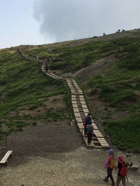 木道コースを行く人々