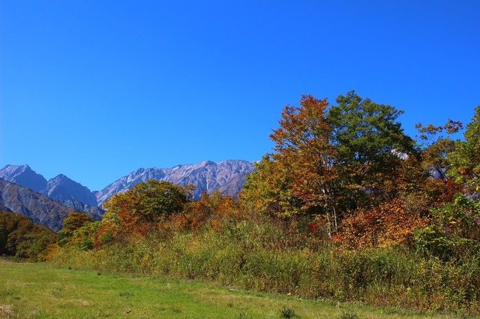 秋晴れの美しい紅葉と山々
