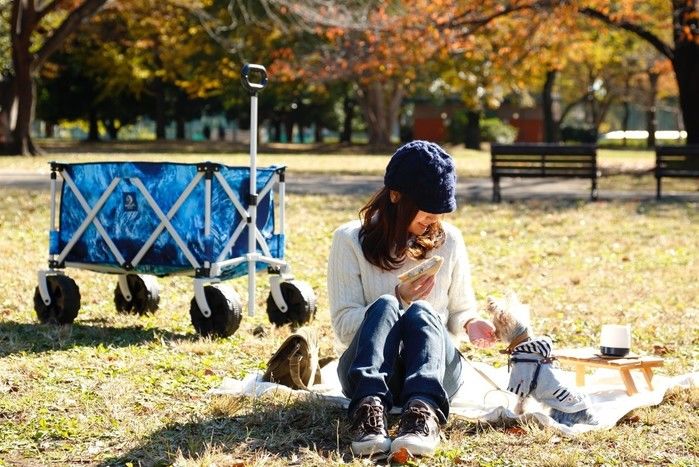 犬と一緒にピクニック