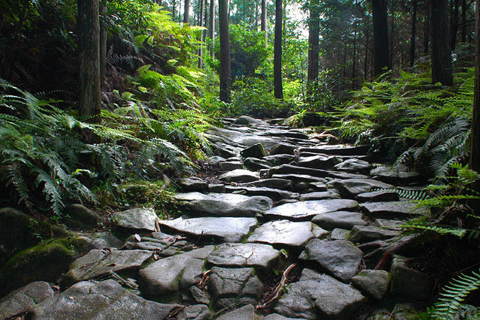 熊野古道の石畳