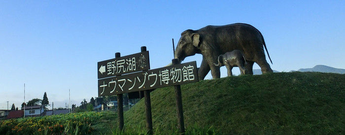 野尻湖ナウマンゾウ博物館