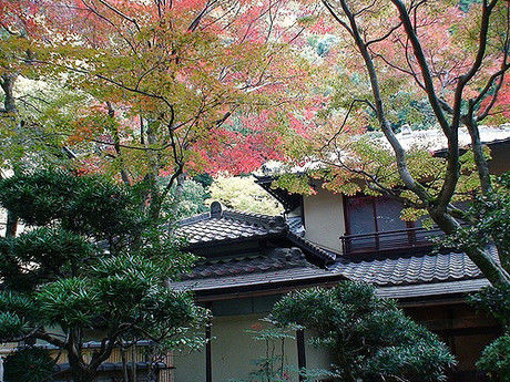 箕輪公園の紅葉