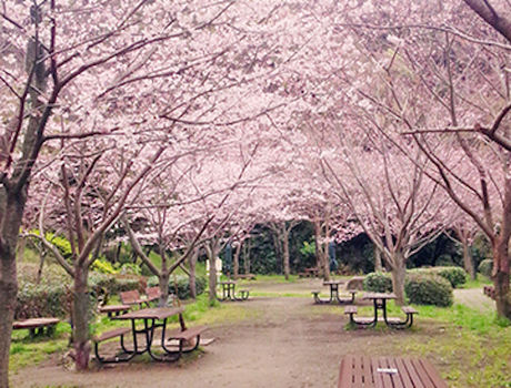 金沢自然公園のバーベキュー広場