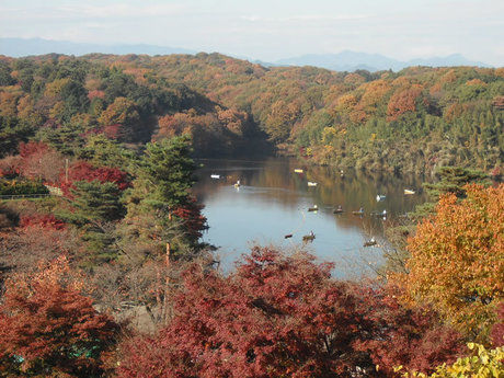 宮沢湖温泉 喜楽里別邸の露天風呂から見える宮沢湖の景色