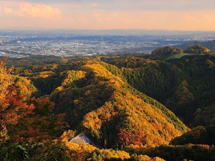 高尾山の紅葉