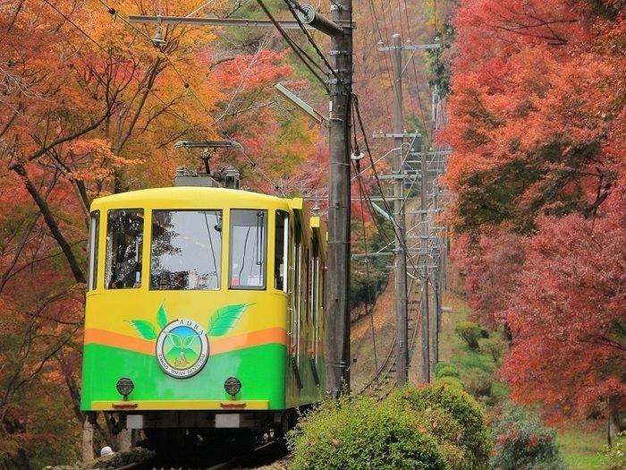 高尾山のケーブルカー