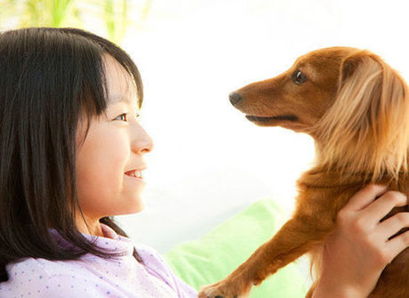 犬を抱き上げる少女