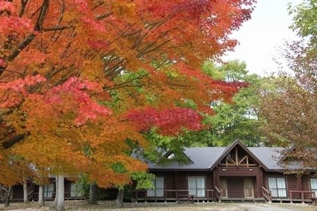 休暇村 帝釈峡のコテージ