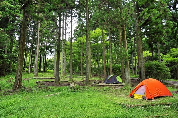 烏帽子岳ウッドパークのキャンプ場