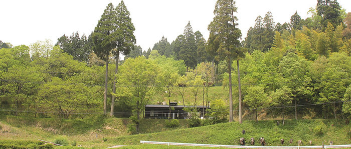 吉原ごんべえ村の遠景