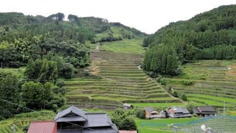 池の山キャンプ場からの棚田の風景