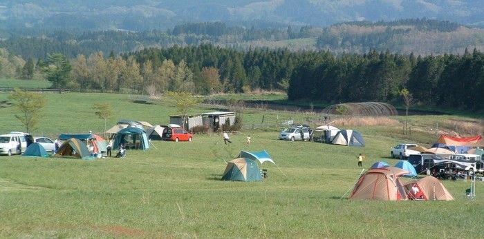 ボイボイキャンプ場の芝生のテントサイト