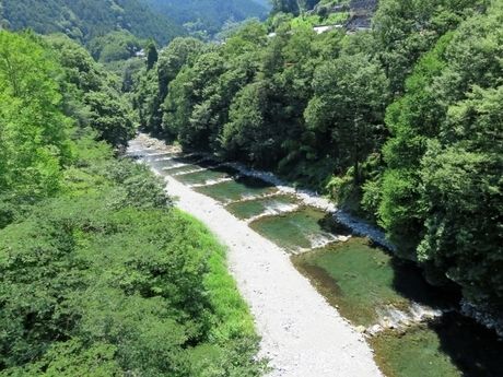 氷川国際ます釣場の上空からの様子