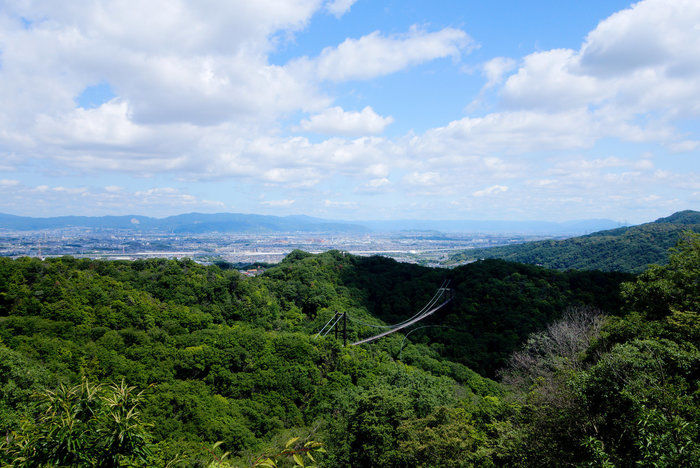 星のブランコと呼ばれる吊り橋の遠景